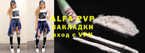 ПСИЛОЦИБИНОВЫЕ ГРИБЫ Козловка