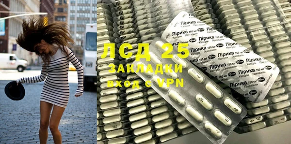 2c-b Пересвет