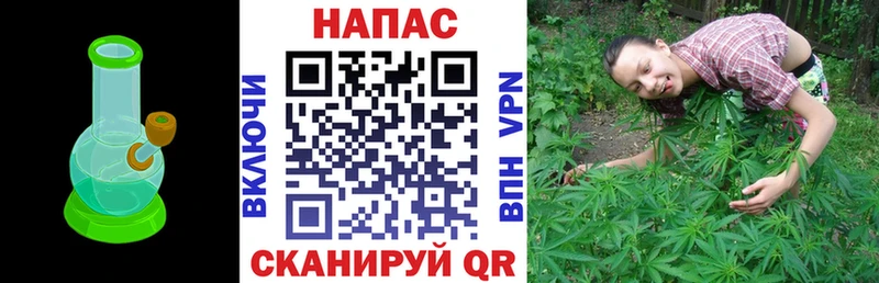Бошки Шишки White Widow  где продают   Морозовск 